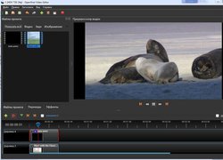 OpenShot Video Editor - Свободный редактор видео